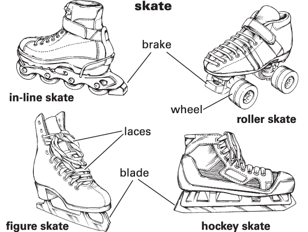  Skate Definition For English Language Learners From Merriam Webster s 