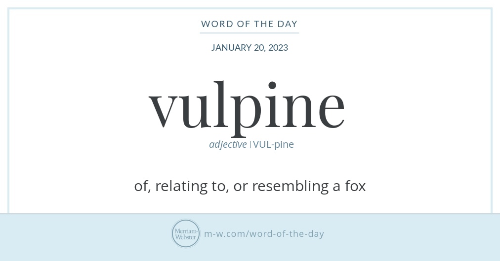 Word Of The Day Vulpine Merriam Webster