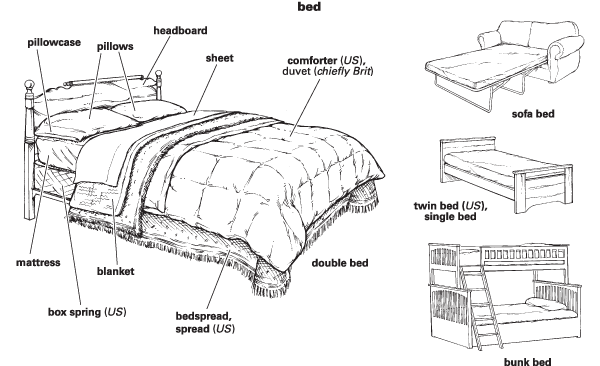 Bed - Definition for English-Language 