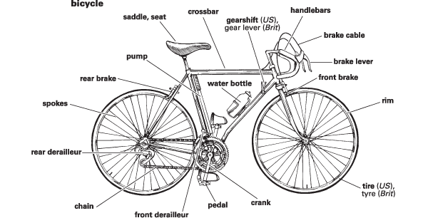 Bicycle Definition Meaning Britannica Dictionary