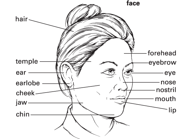 FACE definition in American English