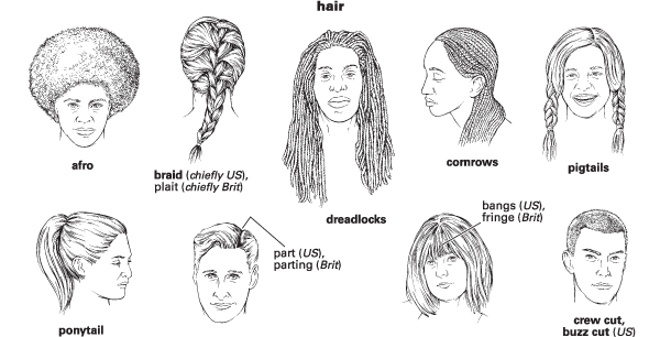 Aggregate more than 140 spelling of hair latest