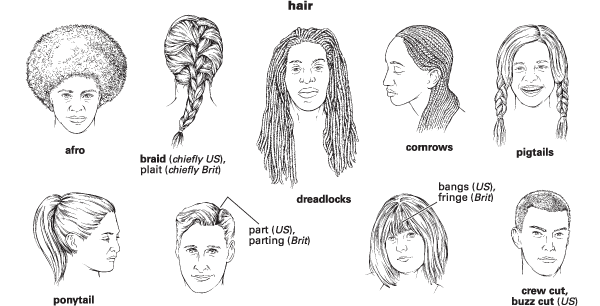 example hair