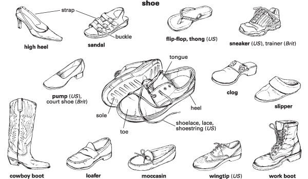 tennis shoe definition
