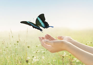 Hands releasing a butterfly