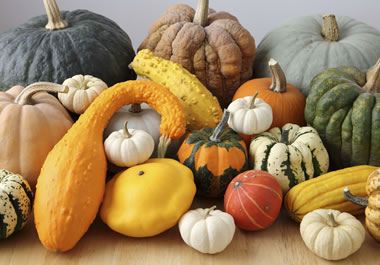 A variety of gourds