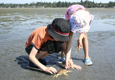 The crab piques the children's curiosity.