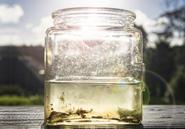 Sediment in a jar of water