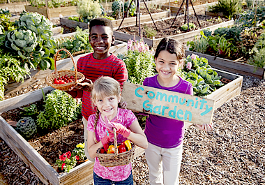 The community garden is primarily used to grow vegetables.