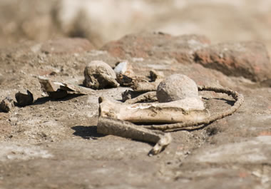 Tools and bone fragments were found at the site.