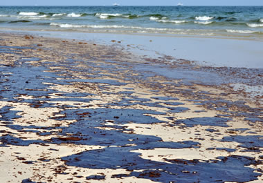 The oil spill was an environmental catastrophe.