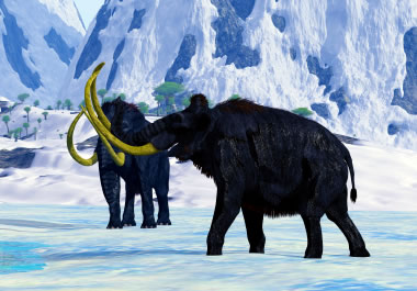 The woolly mammoth has been extinct for thousands of years.