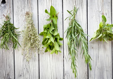 Fresh culinary herbs