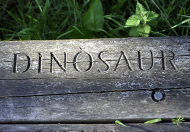 The word "dinosaur" is inscribed in the wood.