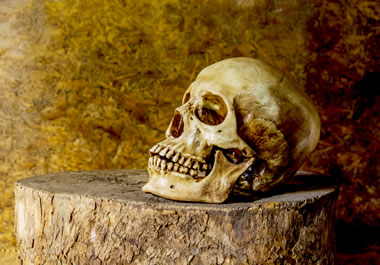 Pictures of skulls are sometimes seen as morbid.