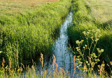 Irrigation ditch between two fields of grass