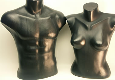 Models of torsos