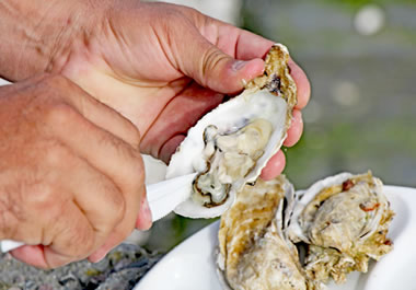 Some people consider oysters to be a delicacy; other people think they're yucky.