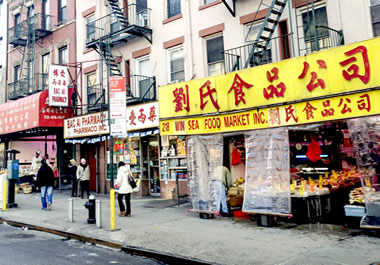 The stores on Canal Street in New York show the city's ethnic diversity.