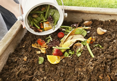 The vegetables are going in the compost.