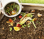 Compost Illustration
