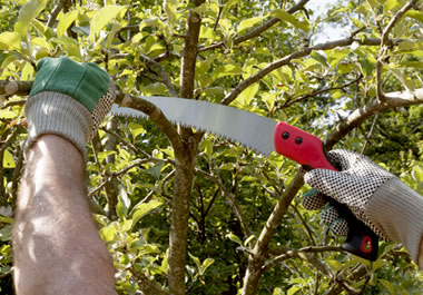 The person is using a sharp implement to cut the branch.