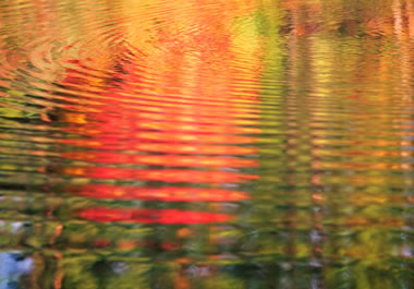 Ripples on the surface of a pond