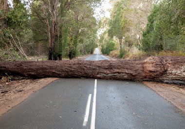 There is an obstacle in the road.