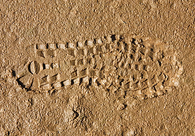 An imprint of a shoe in the mud