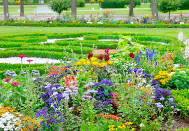 A park replete with flowers