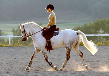 A rider sitting with good posture. 