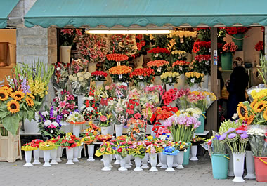 A cornucopia of flowers