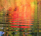 Ignite Definition & Meaning | Britannica Dictionary