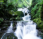 CASCADE