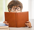 Inconspicuous Definition & Meaning | Britannica Dictionary