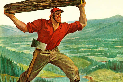 timber-definition-meaning-merriam-webster