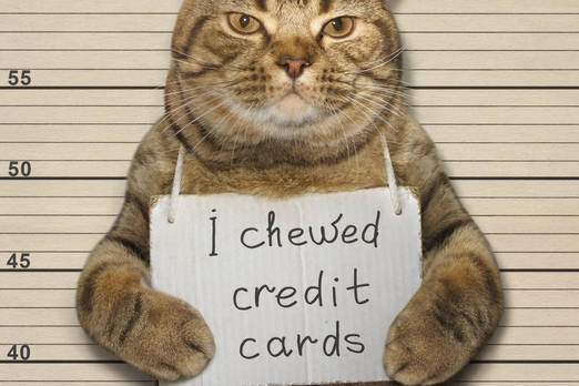 CREDIBLE Definition Meaning Merriam Webster credible-definition-meaning-merriam-webster