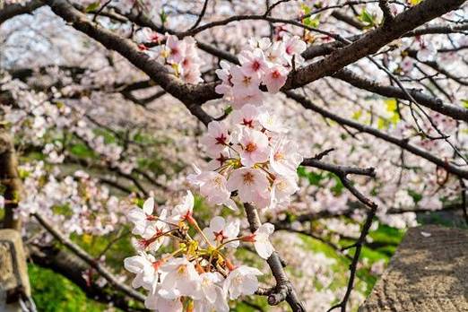 DIMINUTION Synonyms: 45 Similar and Opposite Words | Merriam-Webster ...