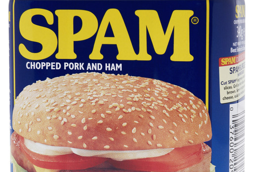 spam-definition-meaning-merriam-webster