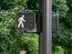 traffic signal in crosswalk telling people to walk