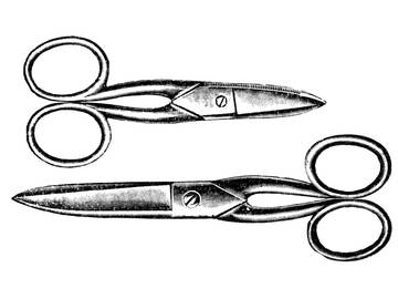 a pair of scissors