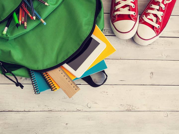 Scaffolding And Education Merriamster