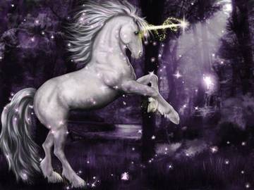 Facts about unicorns - everything you wanted to know about