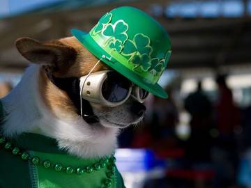 St Patrick's Day: the History Behind the Popular Celebration