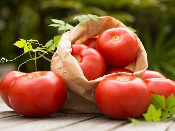 How to Pluralize With 'S' and 'ES' Merriamster