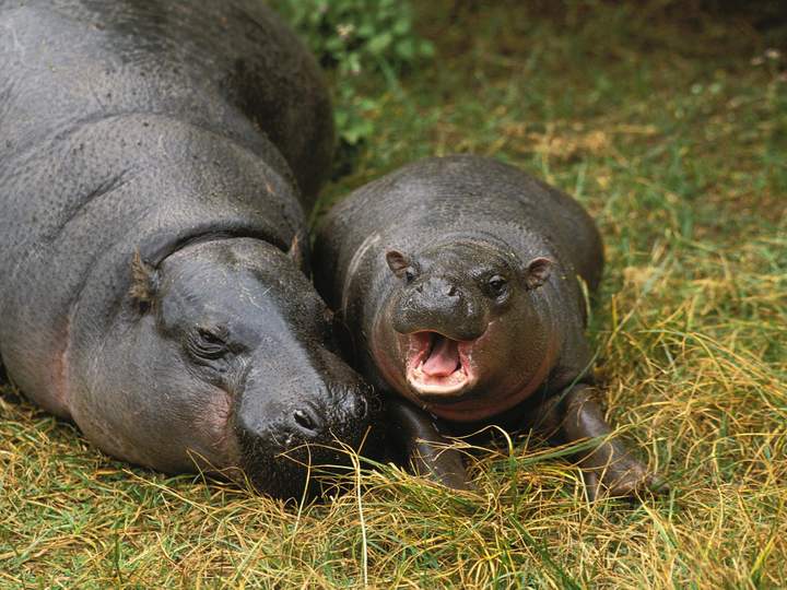 Words of the Week Sept. 27th Merriamster