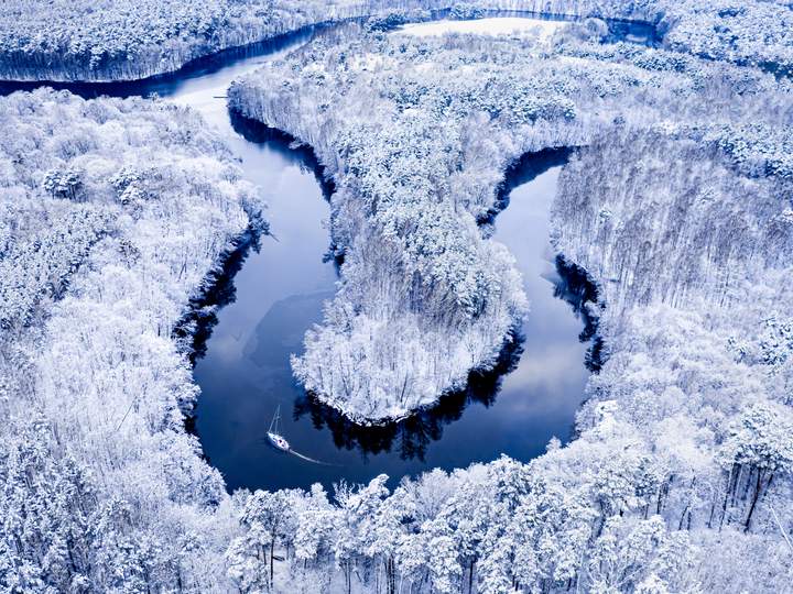 Words of the Week Jan. 10 MerriamWebster