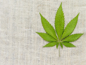 budtender as marijuana goes legal so does its slang