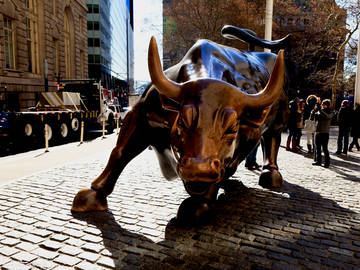 Stock market bull Images - Search Images on Everypixel