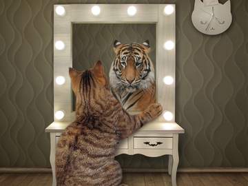 cat looks in mirror and sees lion